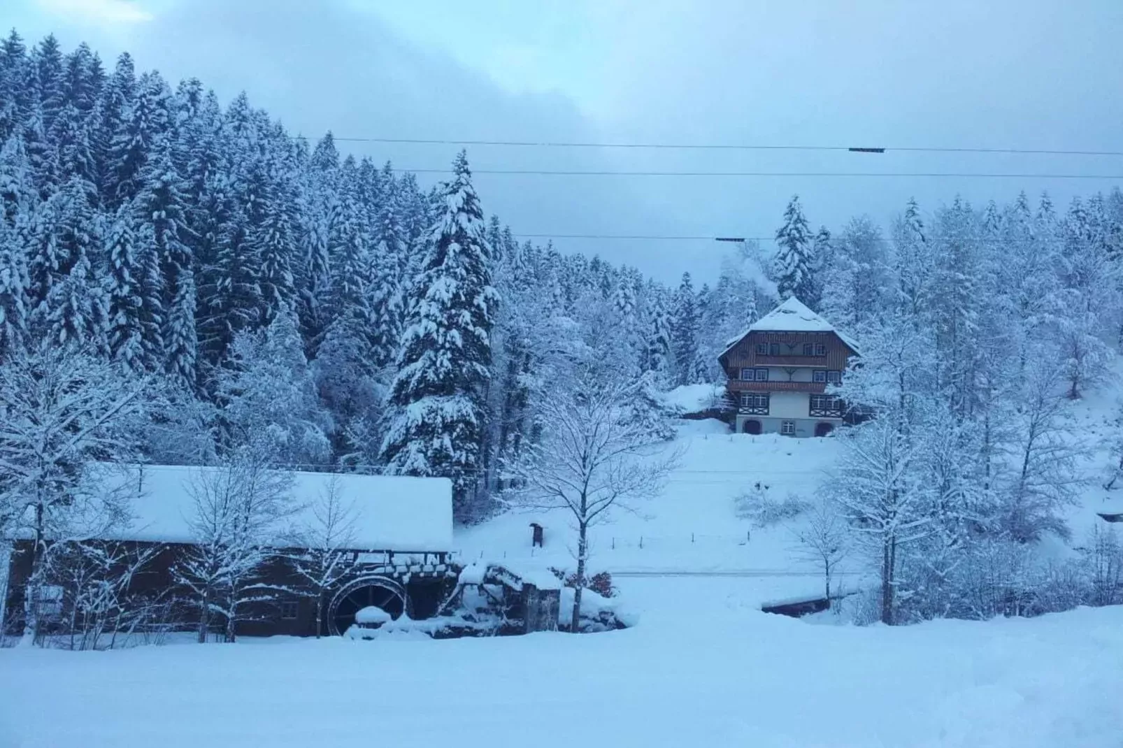 13614-Gebied winter 1km