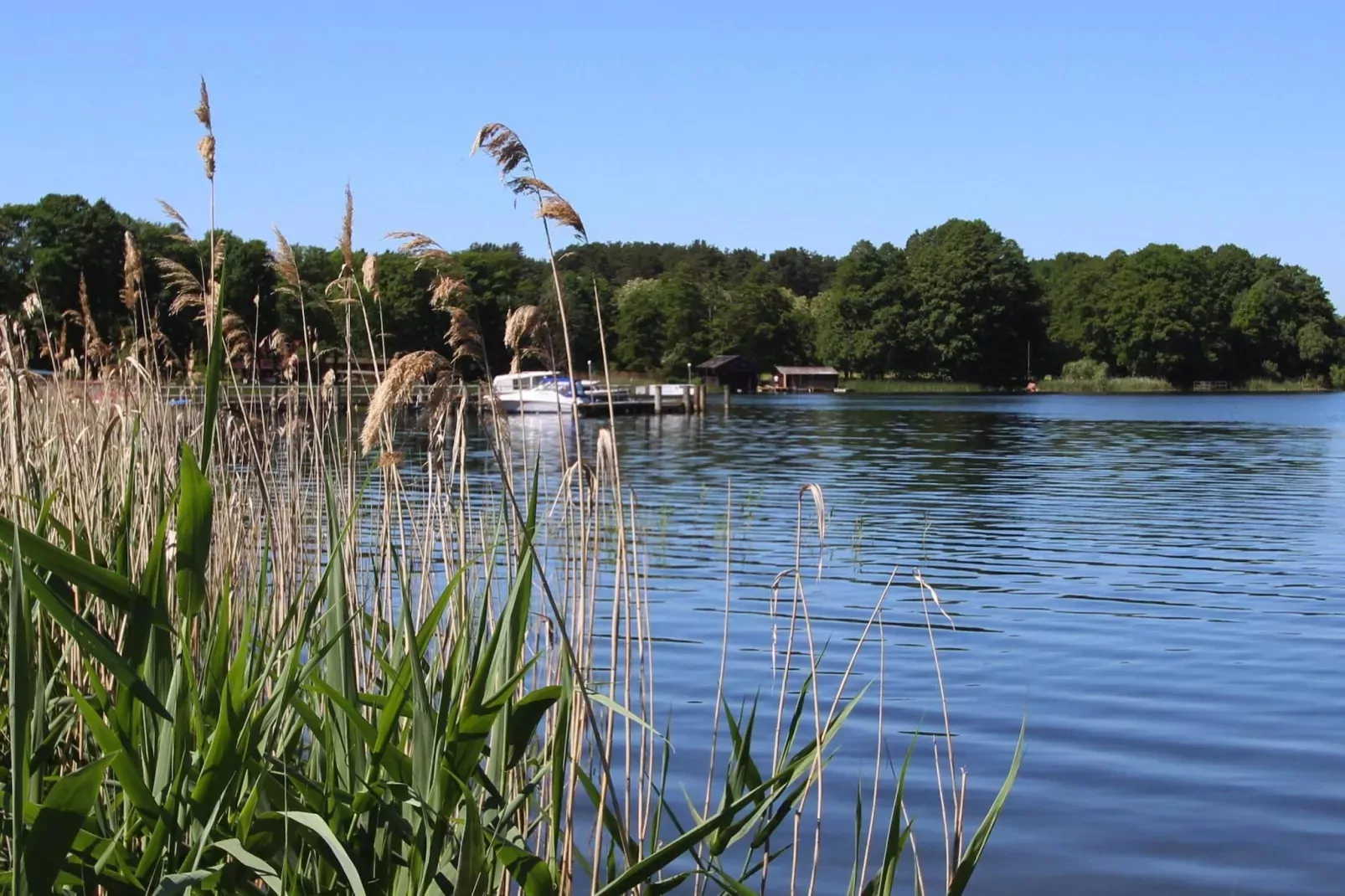 Bungalow 4 Rheinsberg-Gebieden zomer 1km