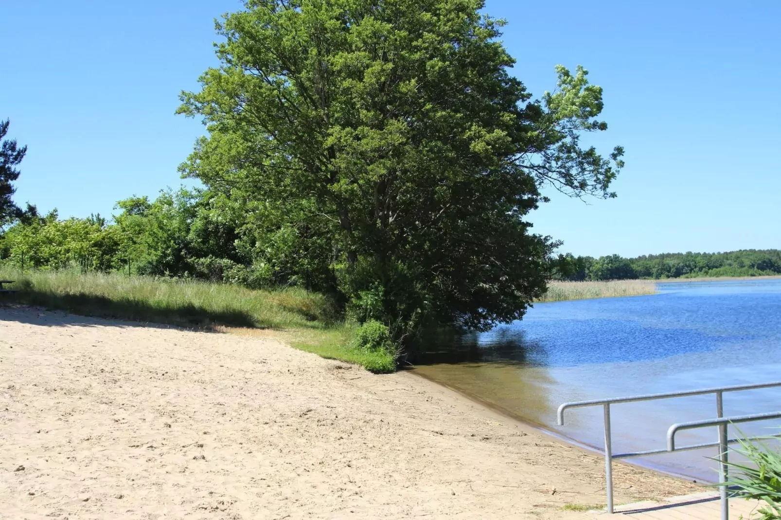 Bungalow 4 Rheinsberg-Gebieden zomer 1km