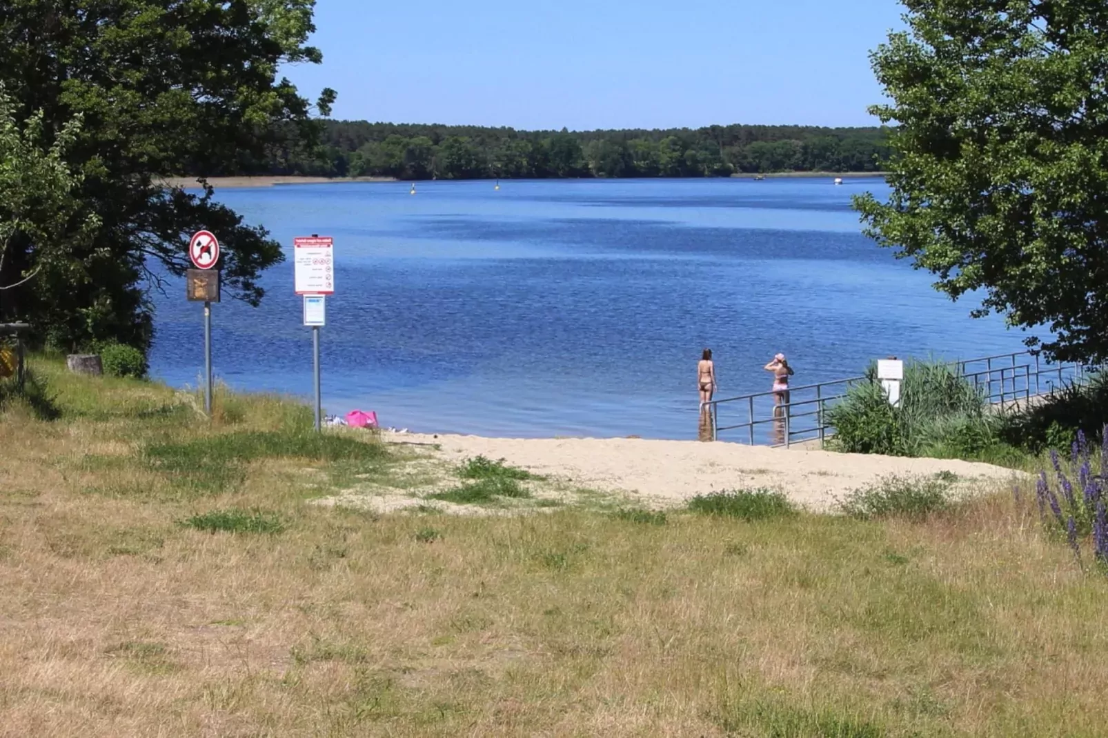 Bungalow 4 Rheinsberg-Gebieden zomer 1km