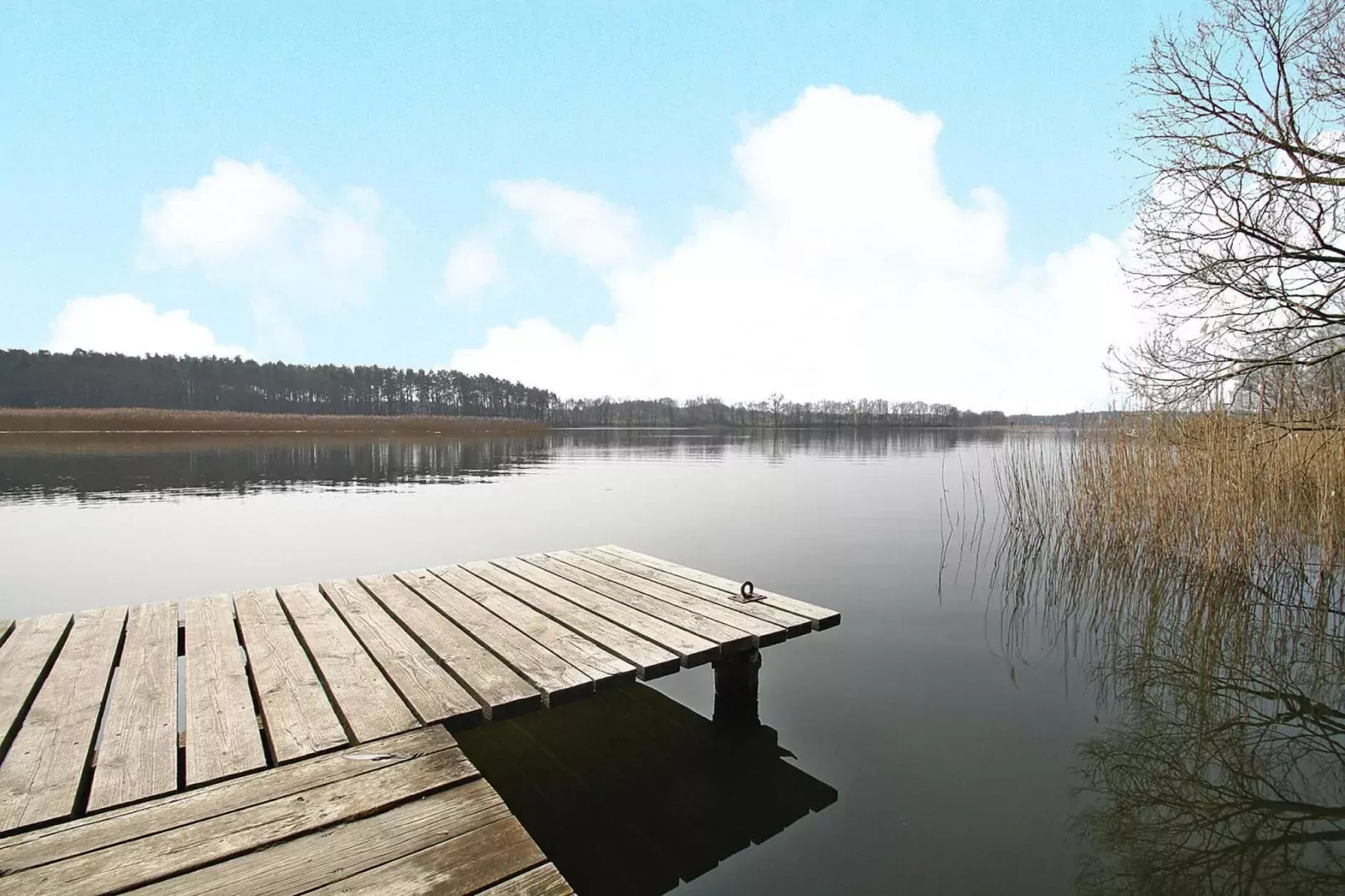 Ferienhaus Seeadler 62 qm-Gebieden zomer 1km