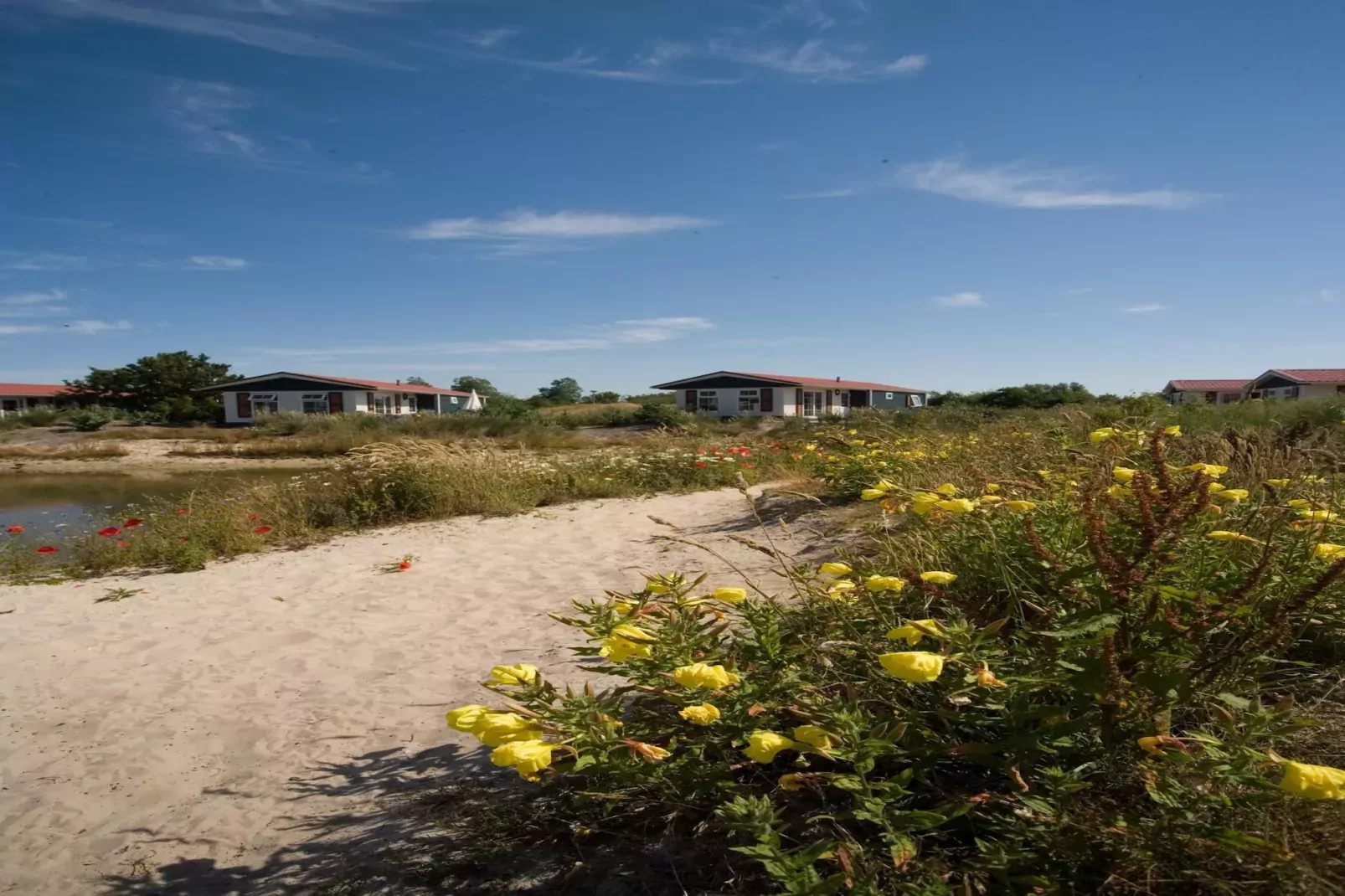 Vakantiepark de Krim 9-Gebieden zomer 5km
