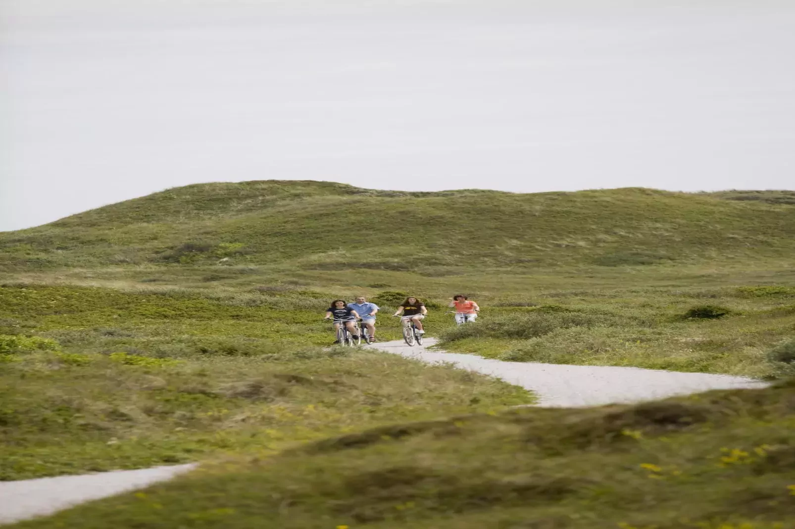 Vakantiepark de Krim 9-Gebieden zomer 5km