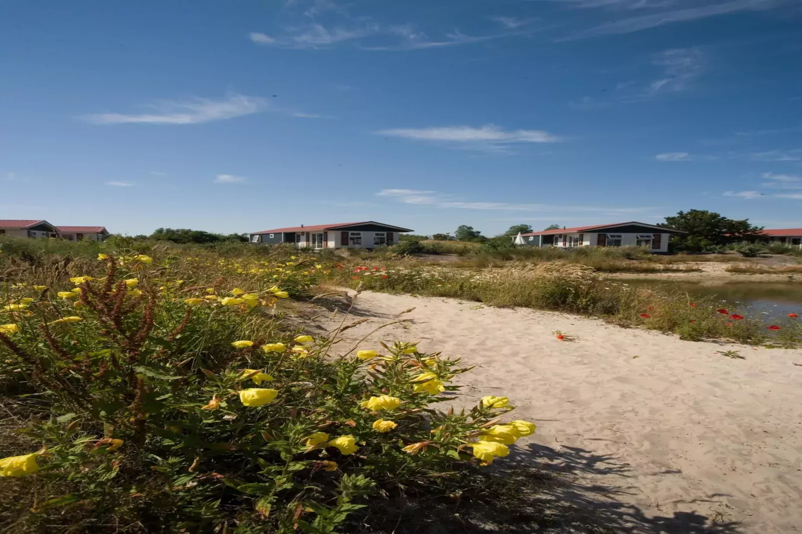 Vakantiepark de Krim 9-Gebieden zomer 5km