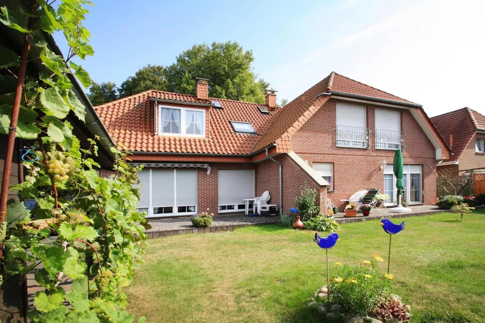 Fewo 2 60 qm-Buitenkant zomer