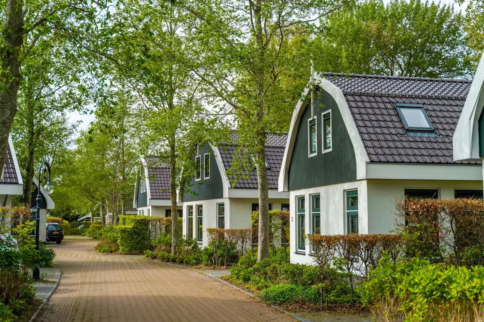 Resort Koningshof 1-Parkfaciliteiten