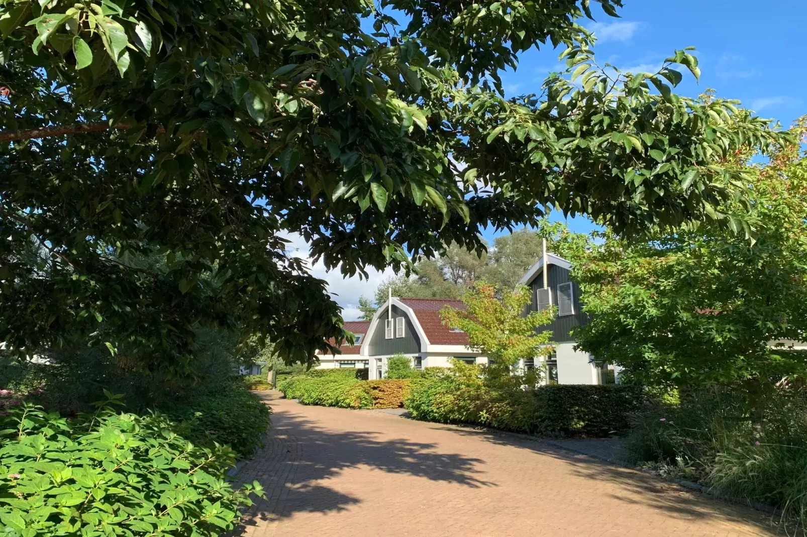 Resort Koningshof 1-Gebieden zomer 1km