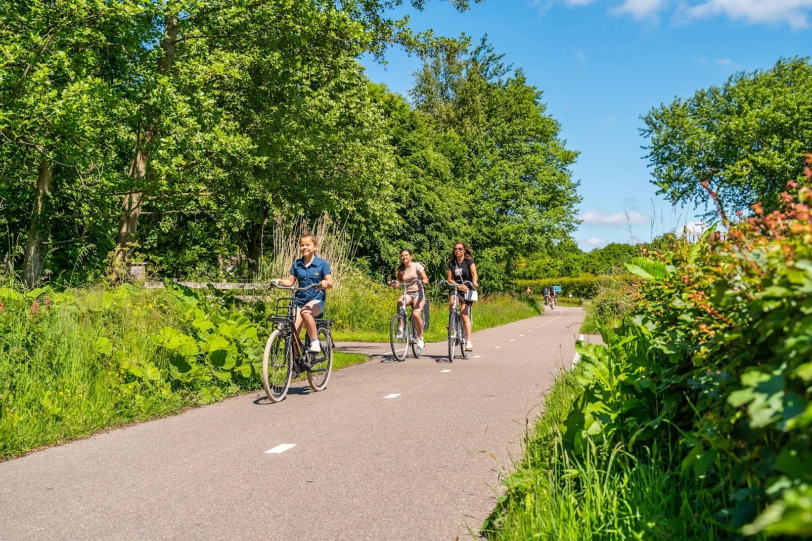 Resort De Woudhoeve 8-Parkfaciliteiten