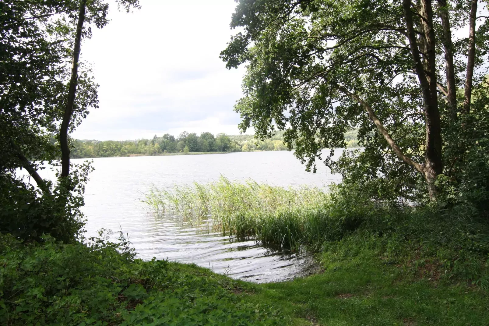 Ferienhaus 60 qm rollstuhlgerecht-Gebieden zomer 5km