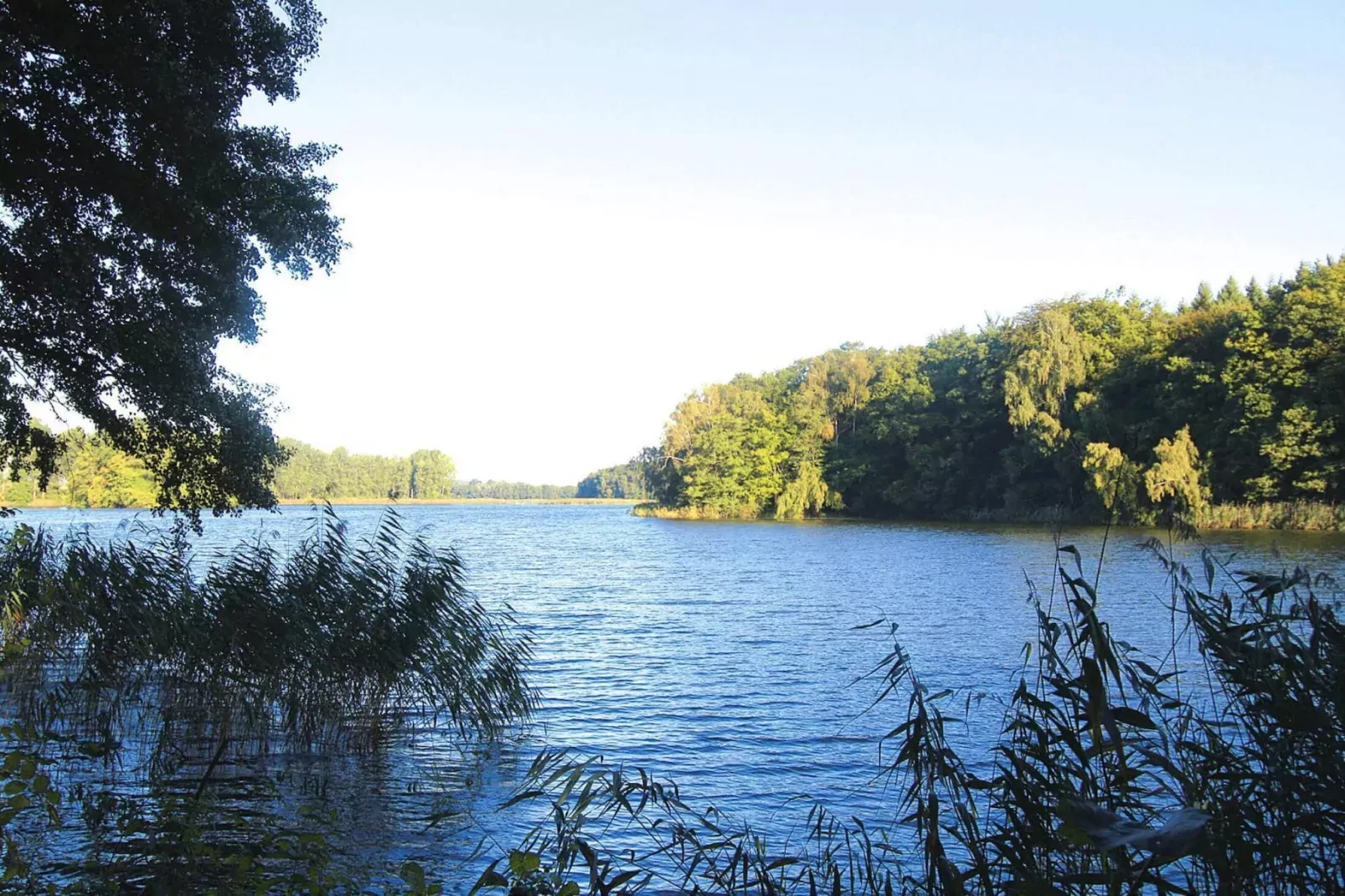 Ferienhaus 60 qm rollstuhlgerecht-Gebieden zomer 5km