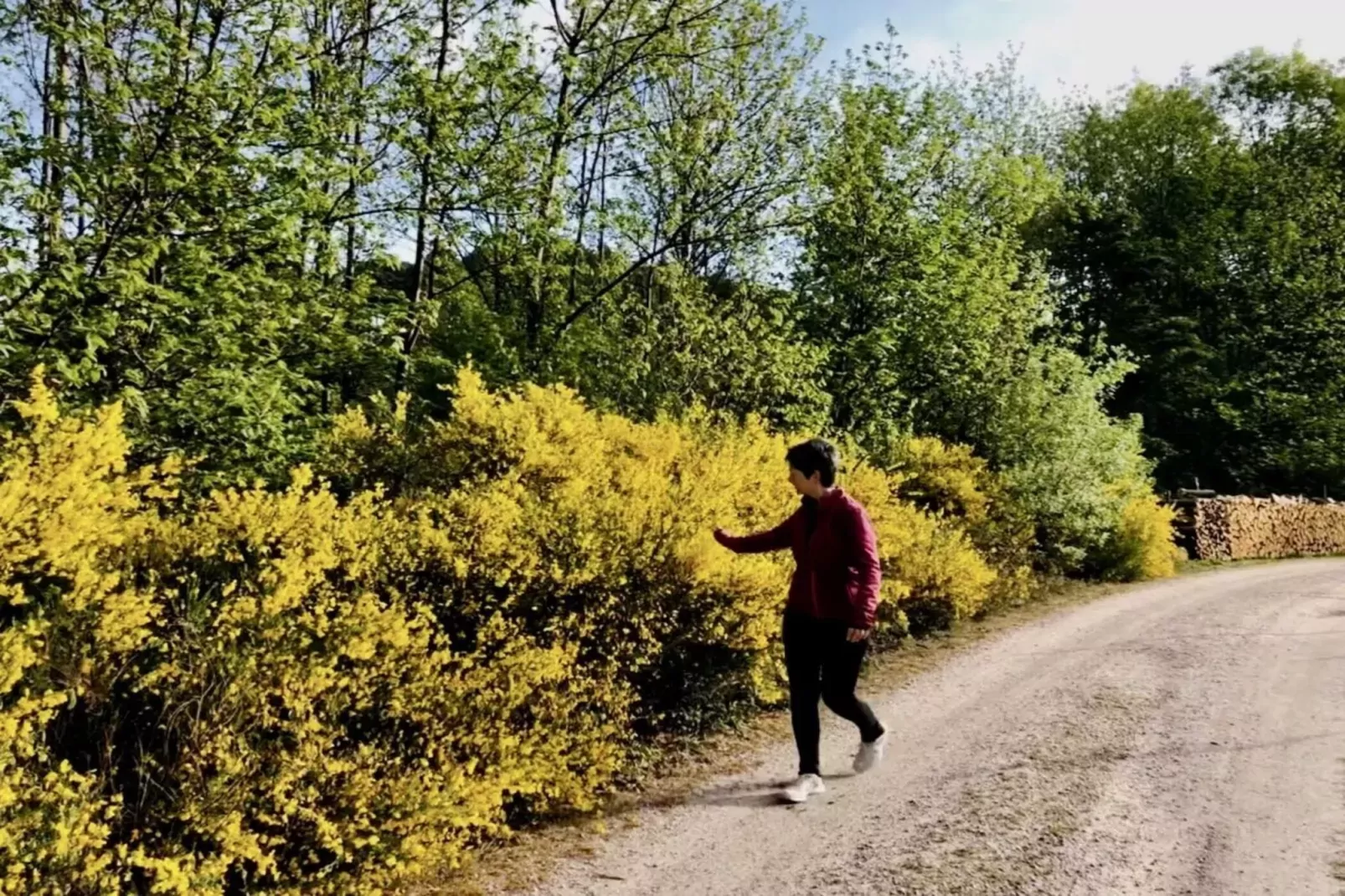 301127-Gebieden zomer 5km