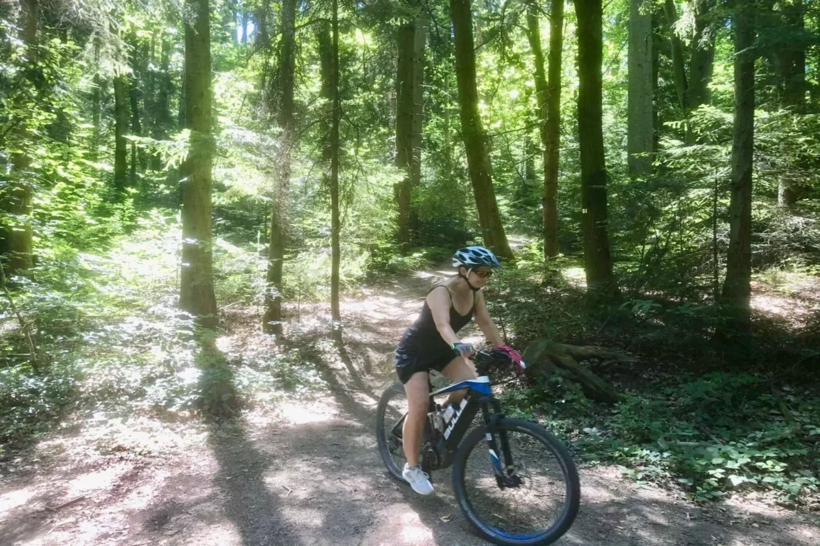 301127-Gebieden zomer 5km