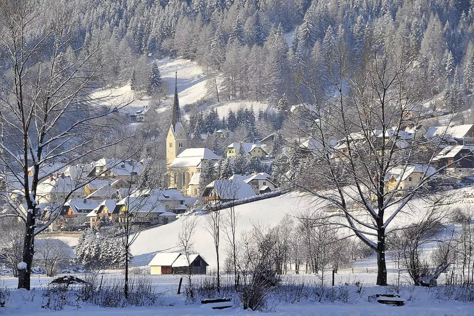 Appartement Martiniberg-Gebied winter 5km