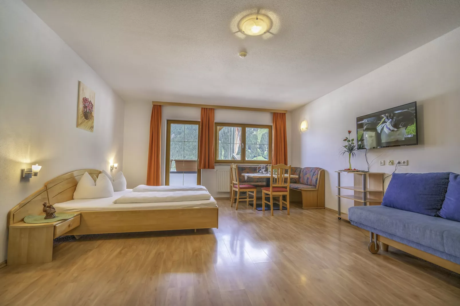 Apartment 1-Slaapkamer