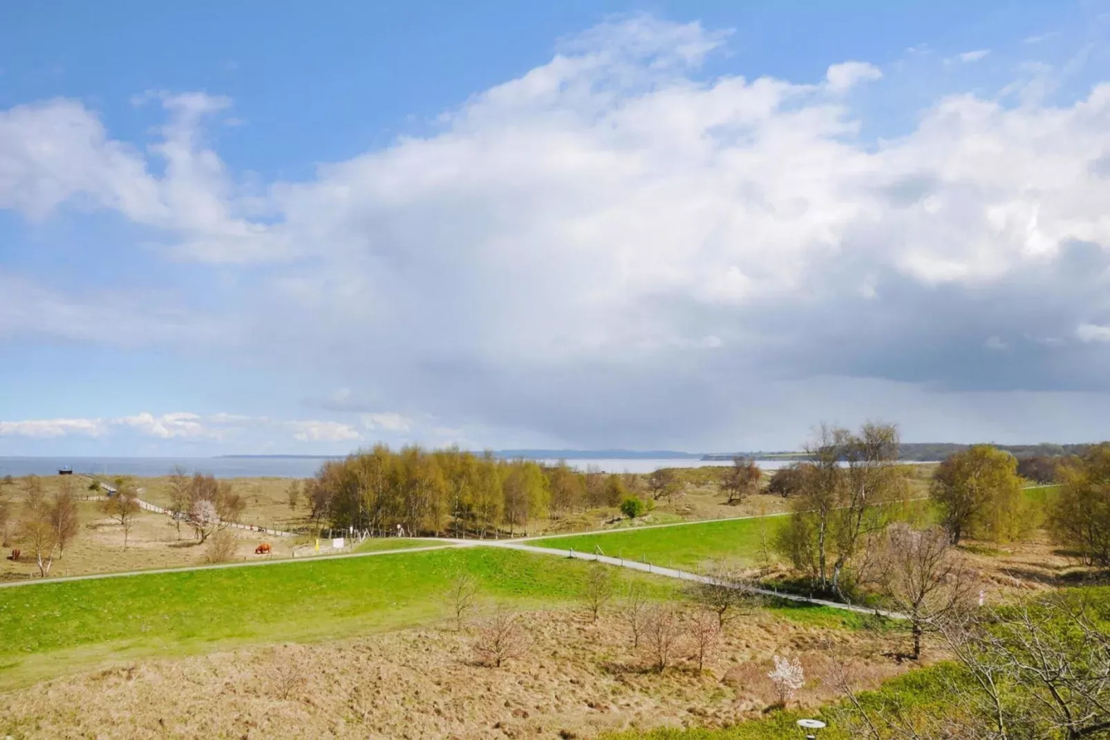 2-Zimmer-Appartement "Am Park"-Gebieden zomer 5km