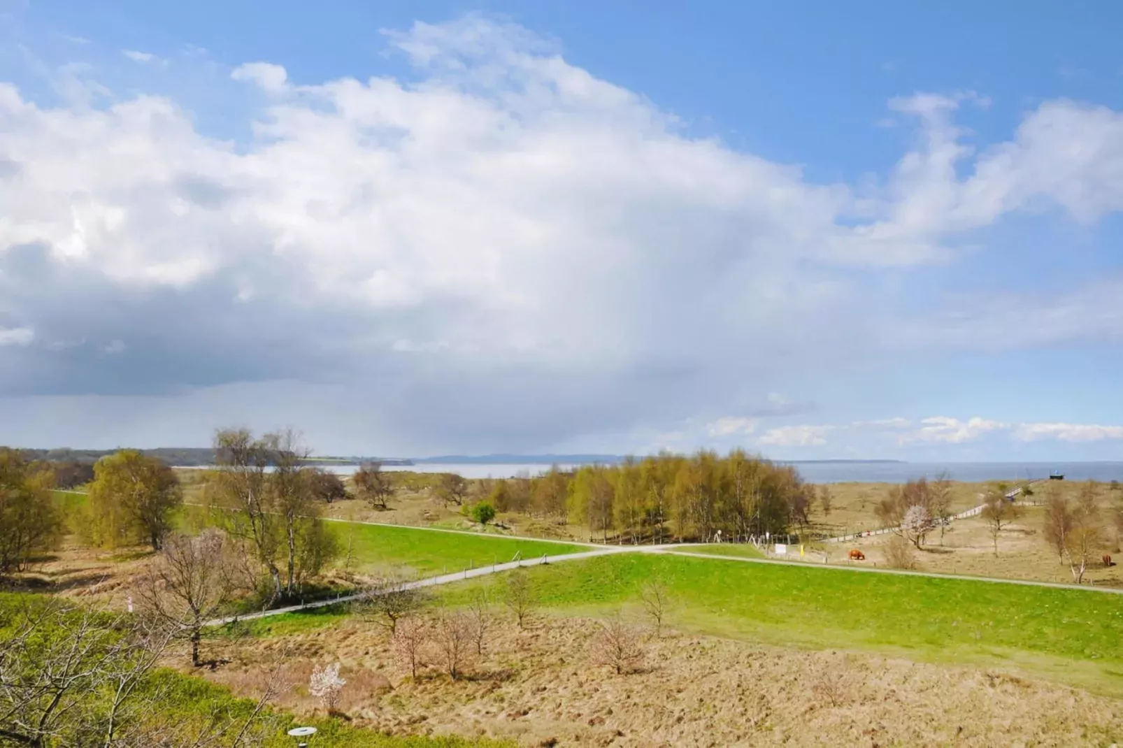 1-Zimmer-Apartement "Am Park"-Gebieden zomer 1km