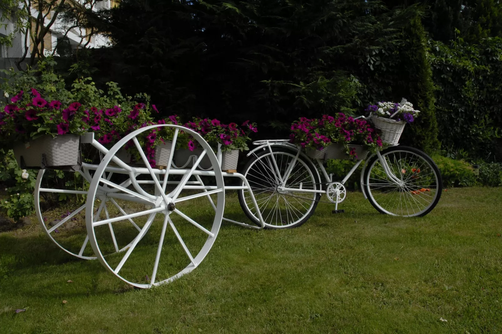 gardensummer