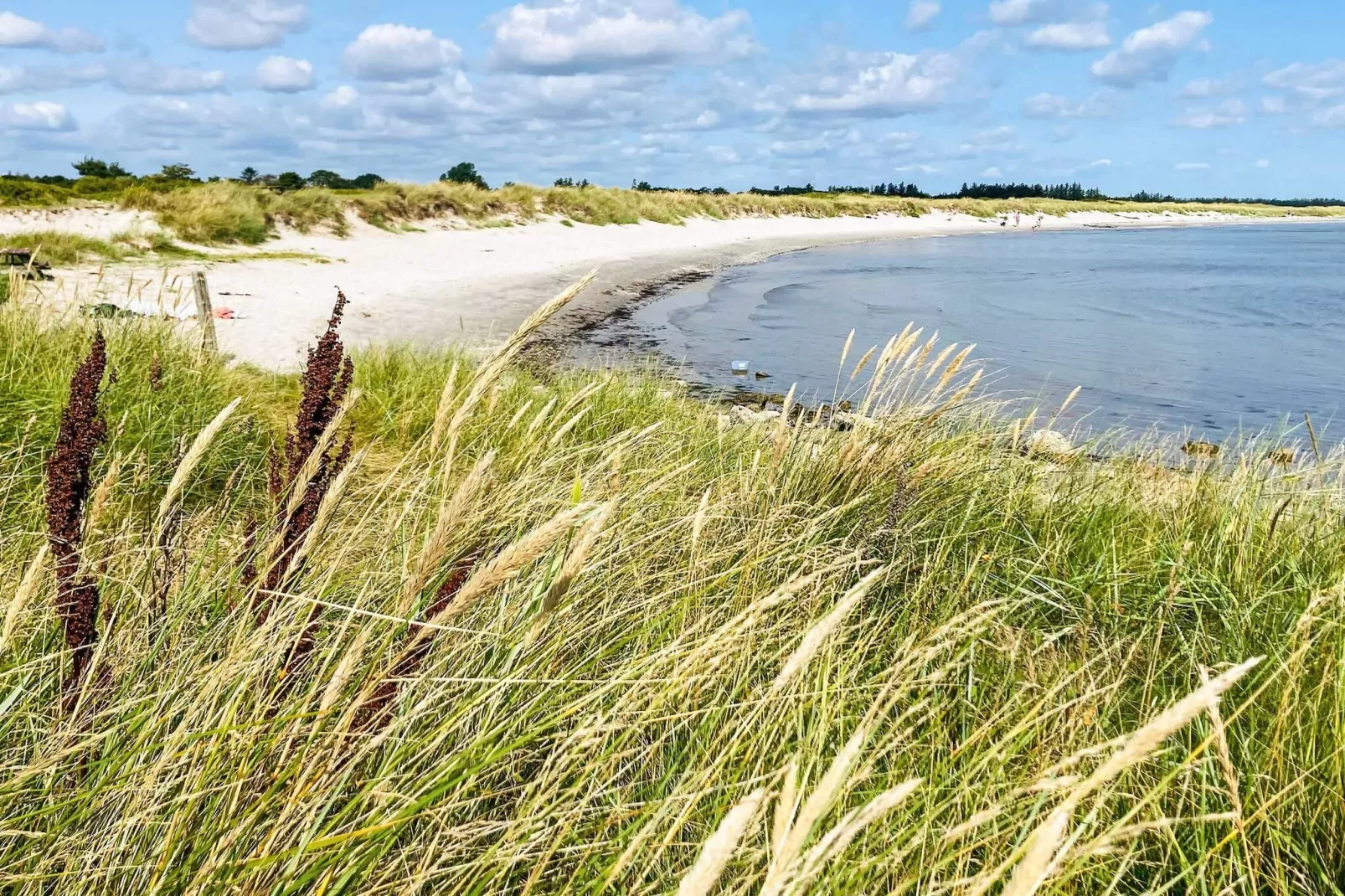 4 sterren vakantie huis in Hals-Niet-getagd