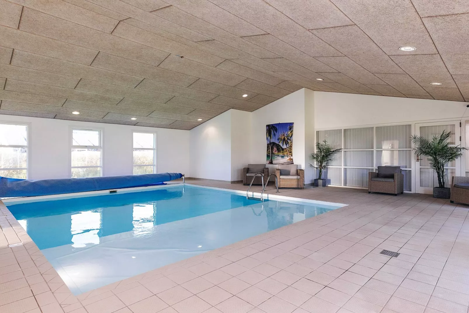 4 sterren vakantie huis in Hals-Zwembad