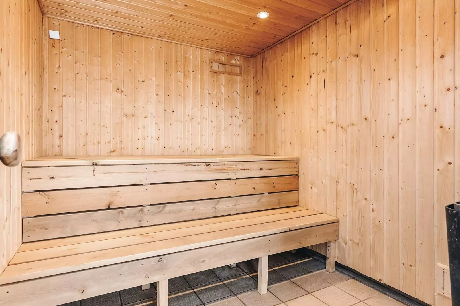 4 sterren vakantie huis in Hals-Sauna