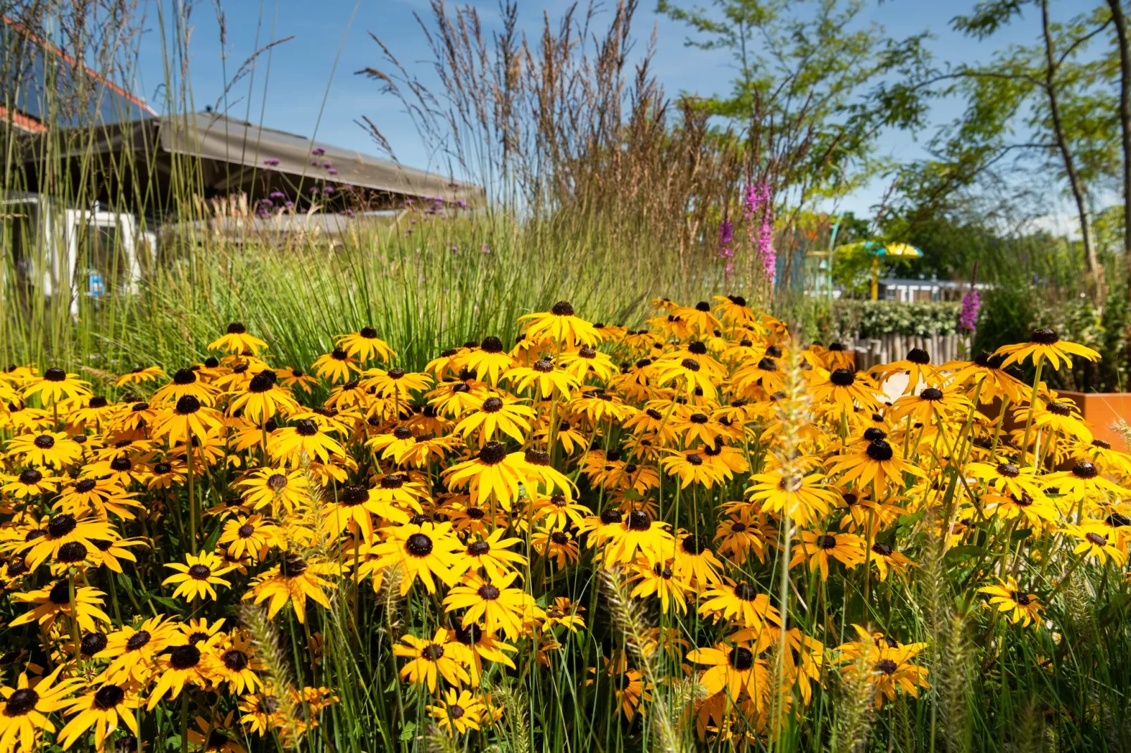 gardensummer
