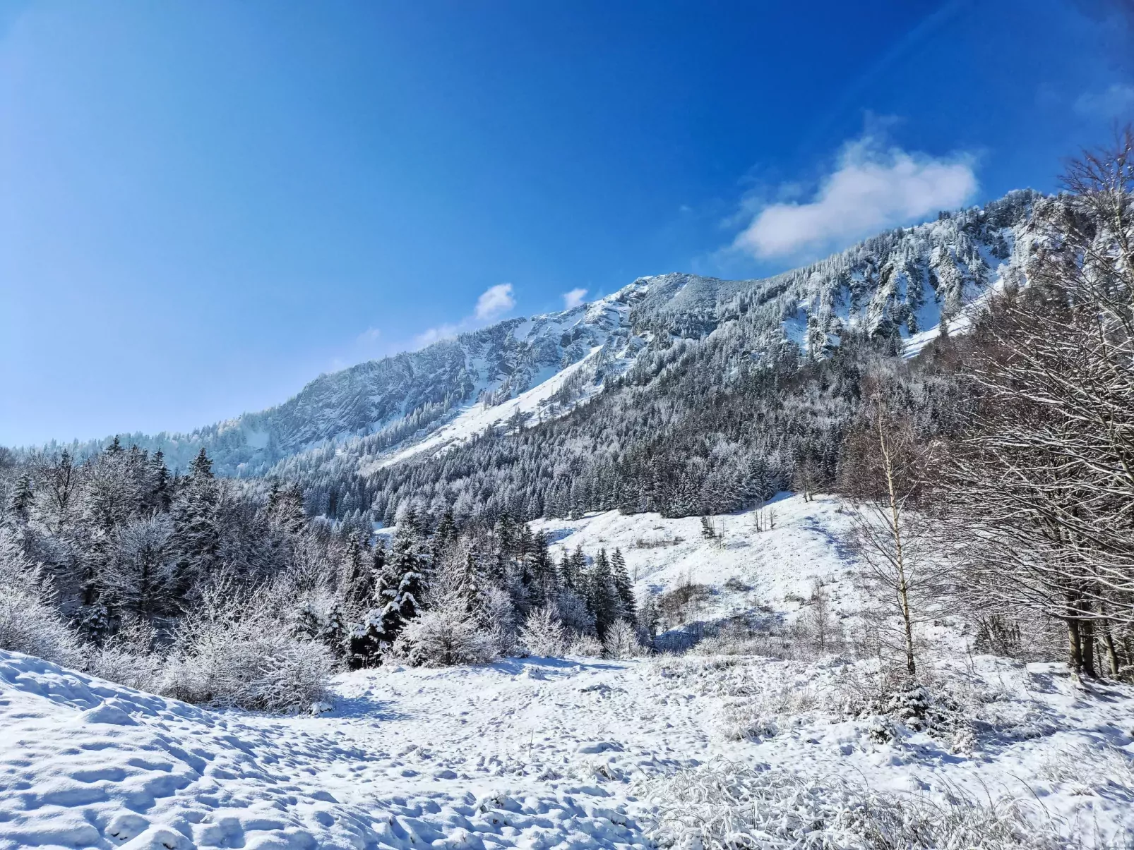 Tiny Haus Glockenalm-Blick Wendelstein-Buiten