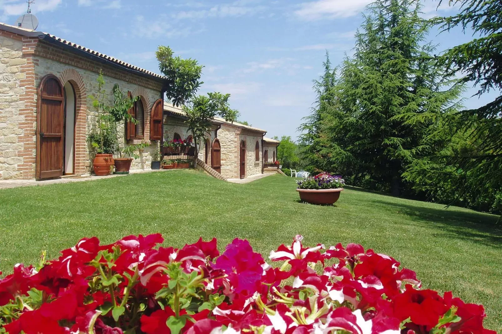 gardensummer