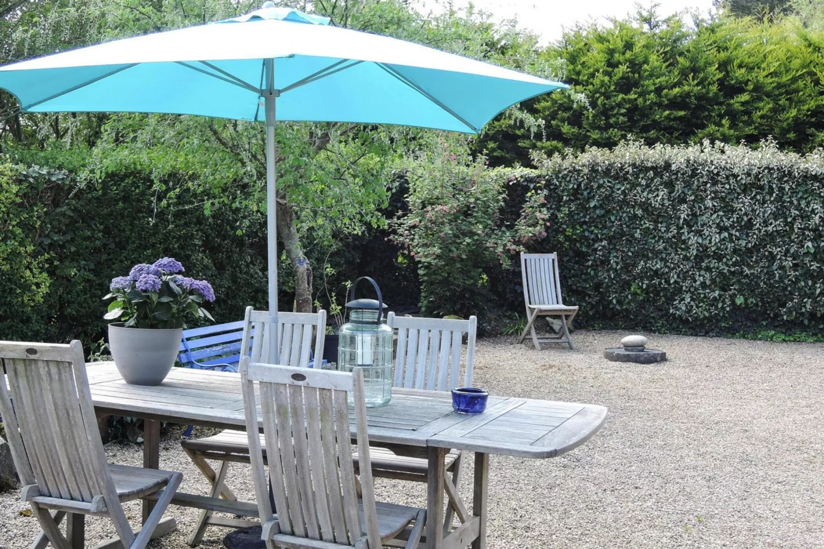 gardensummer