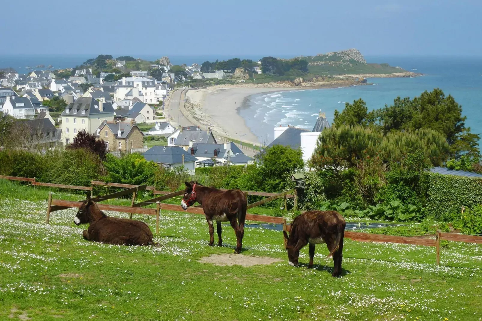 Natural stone cottage with garden and sea view on Breton estate Plougasnou-Gebieden zomer 1km