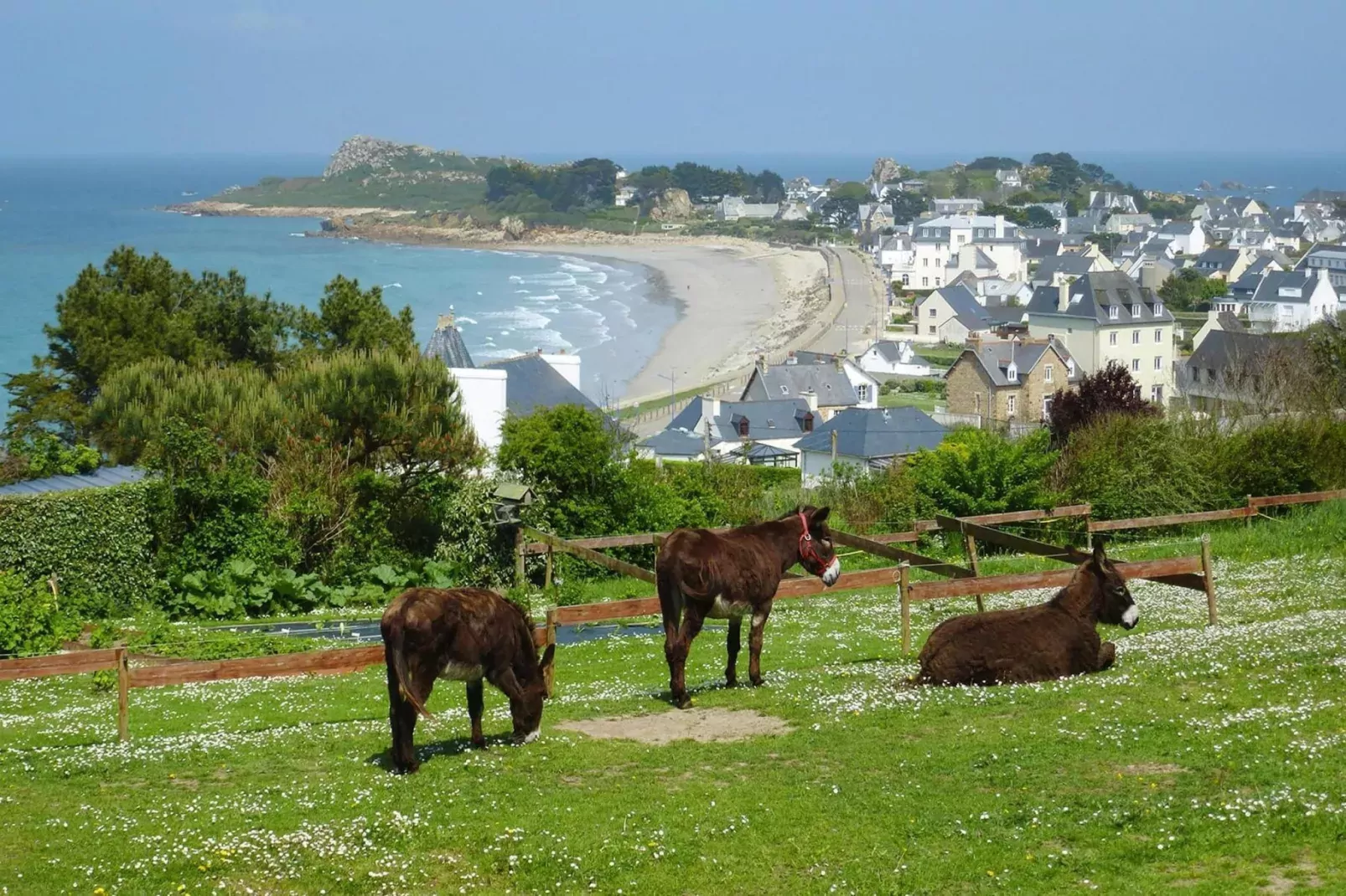 Natural stone cottage with garden and sea view on Breton estate Plougasnou-Gebieden zomer 5km