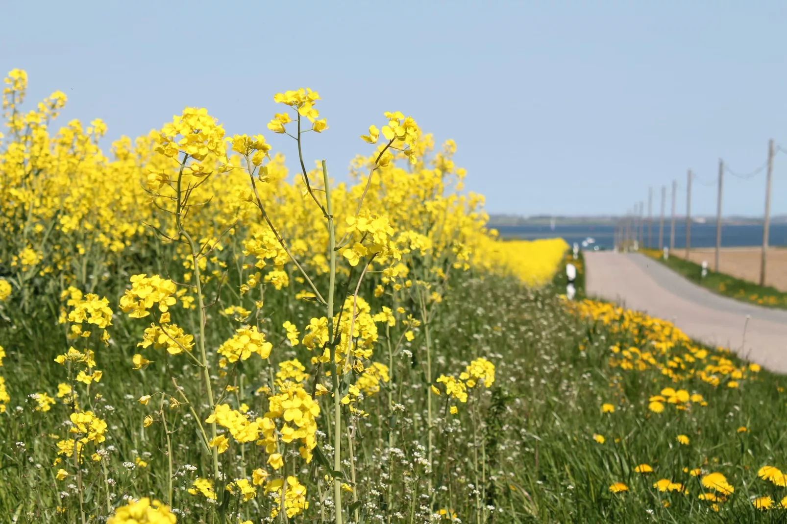 An der Bucht-Gebieden zomer 1km