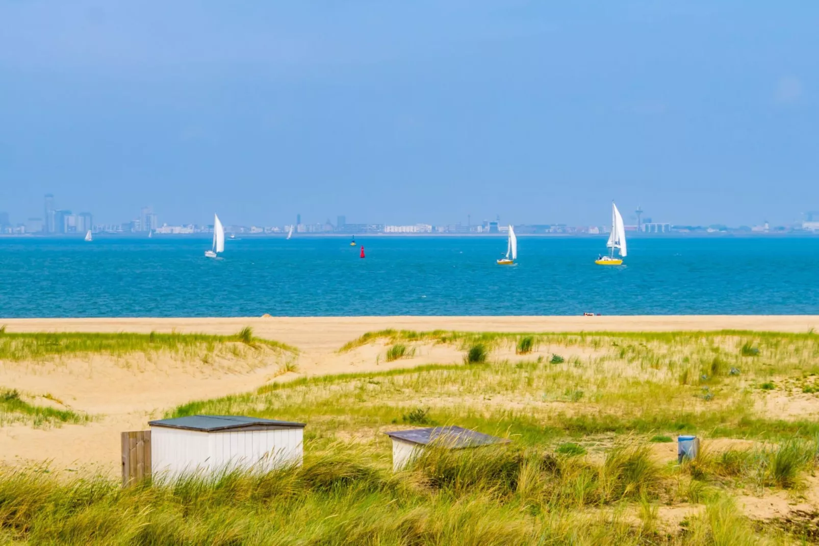 Schoneveld 232 Stern Breskens-Gebieden zomer 5km