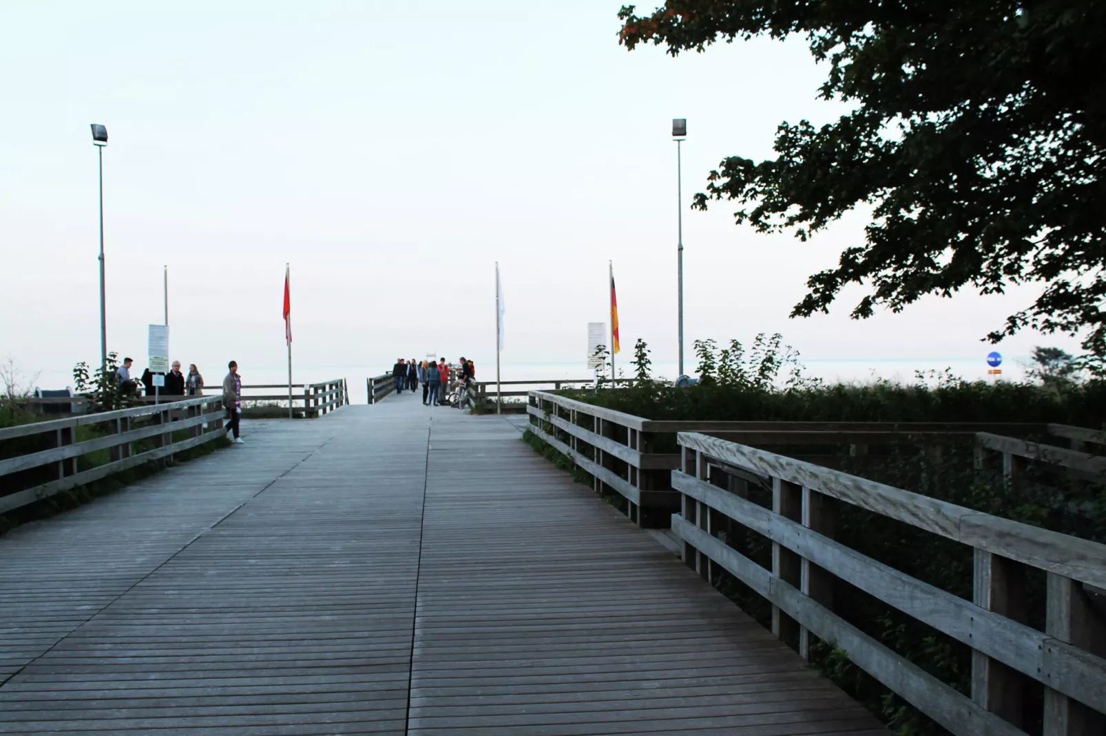 areasummer5km