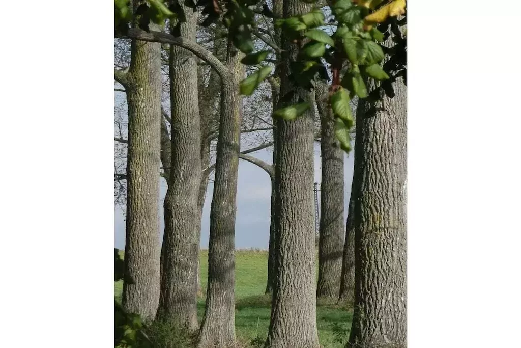 194717-Niet-getagd
