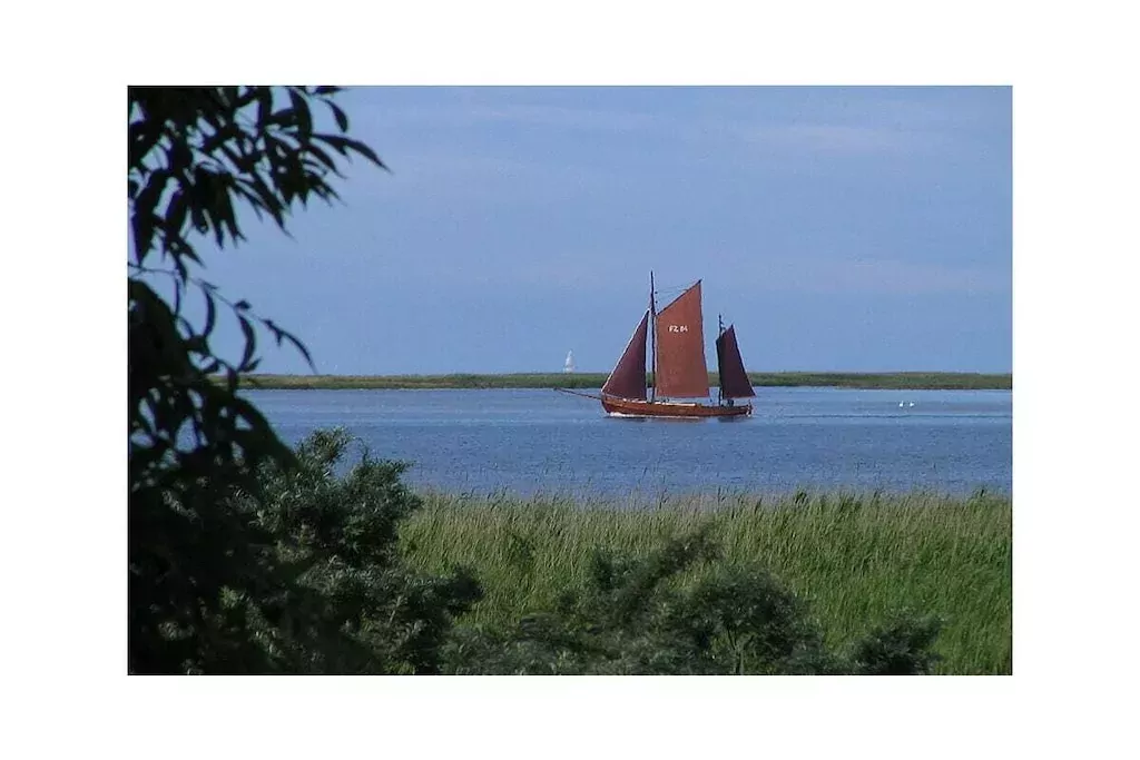 491570-Niet-getagd