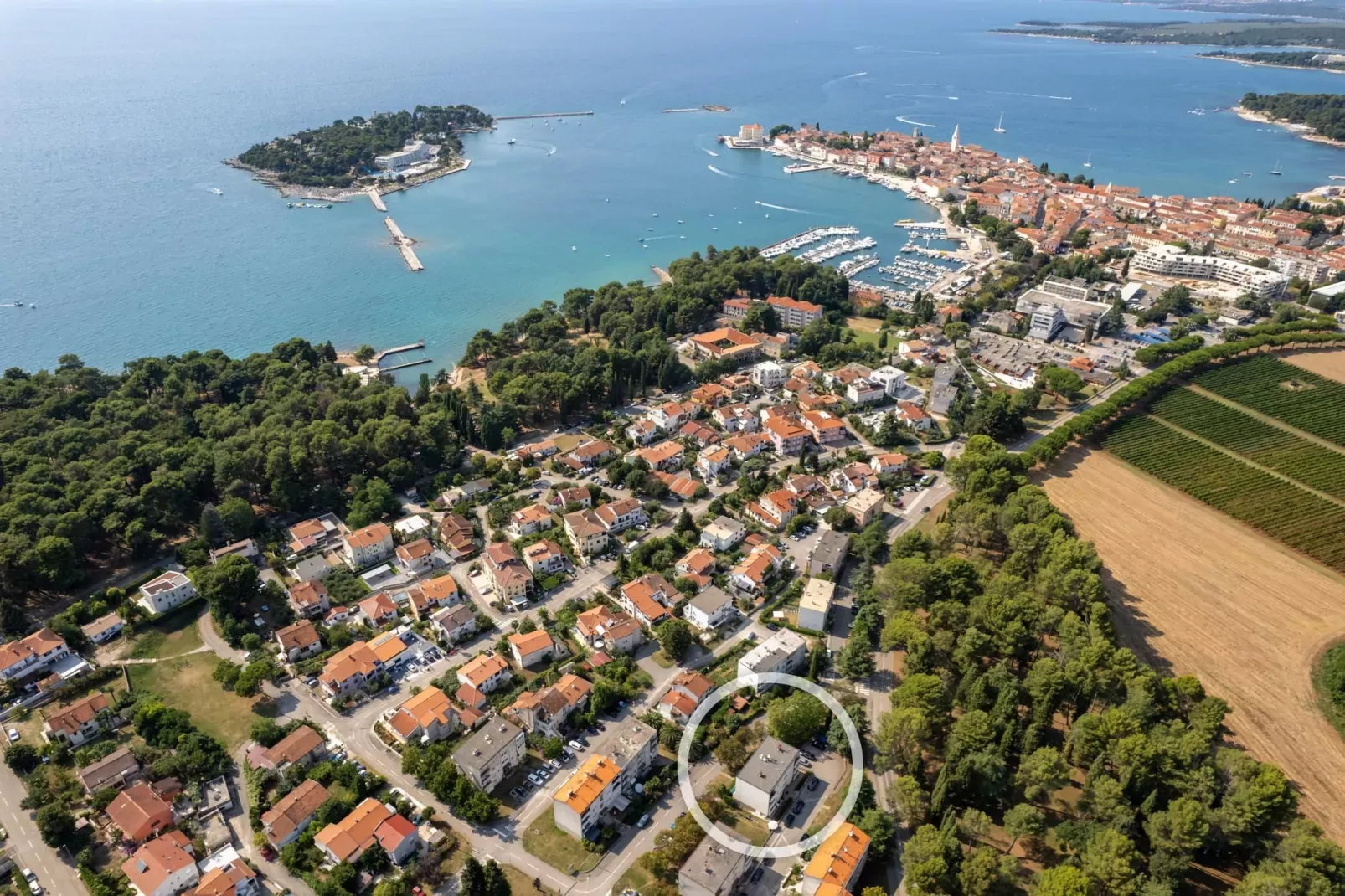 Premium Apartment Noelle-Gebieden zomer 1km