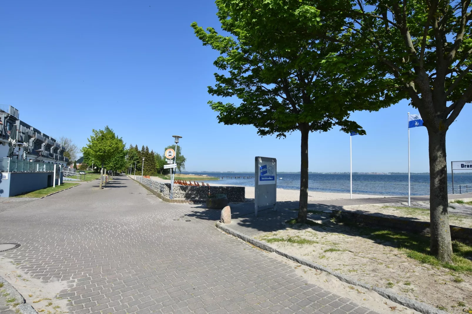 Wildgans 1-Gebieden zomer 5km