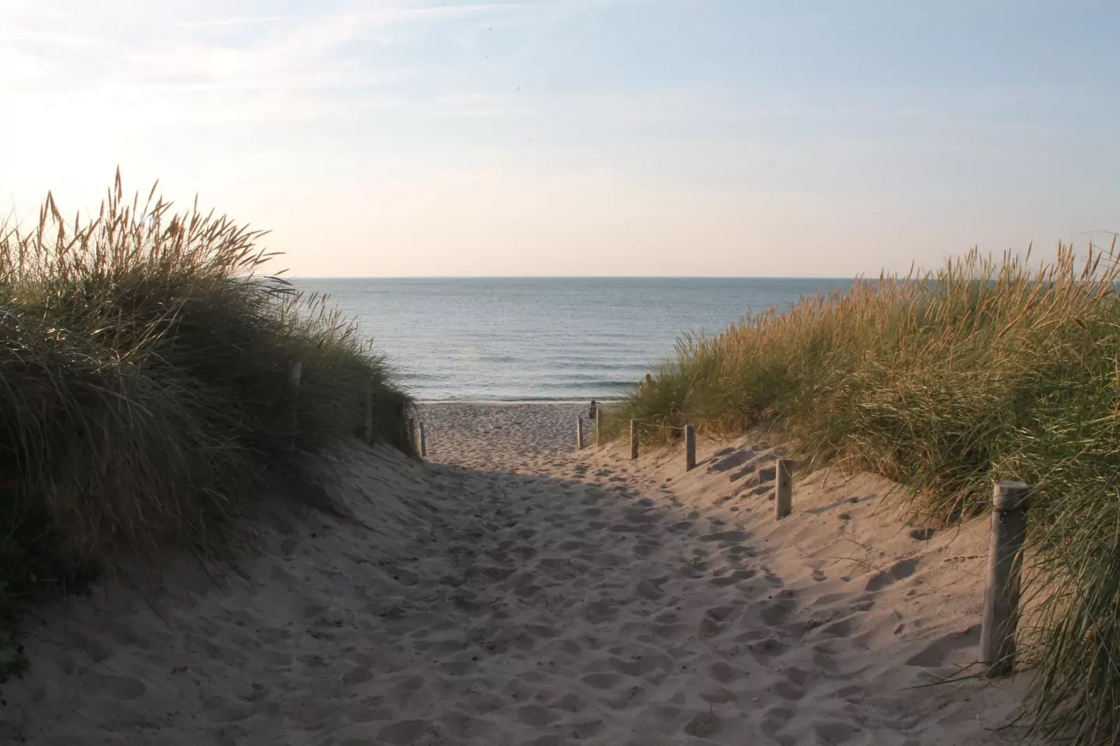 Arko 4  am feinsandigen Strand-Gebieden zomer 5km