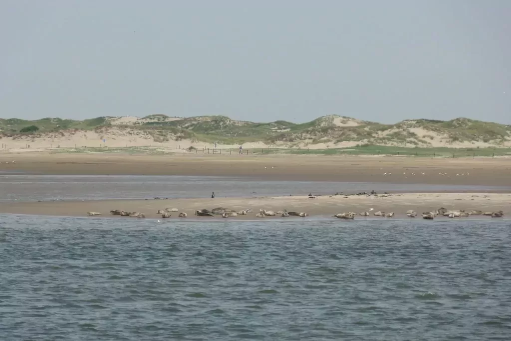 53771-Niet-getagd