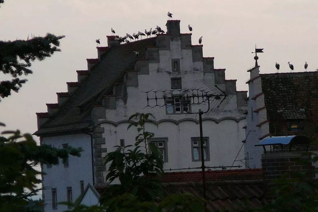 270761-Niet-getagd