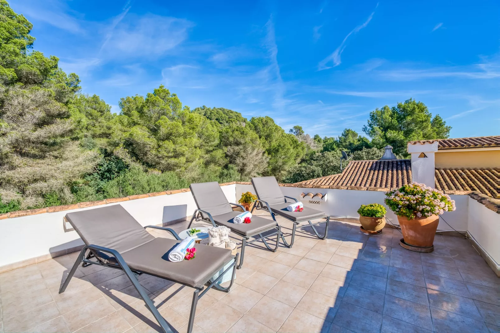 Casa Osborne-Terras