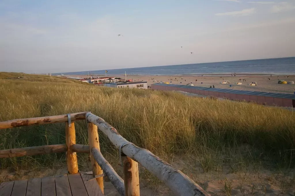 77536-Niet-getagd