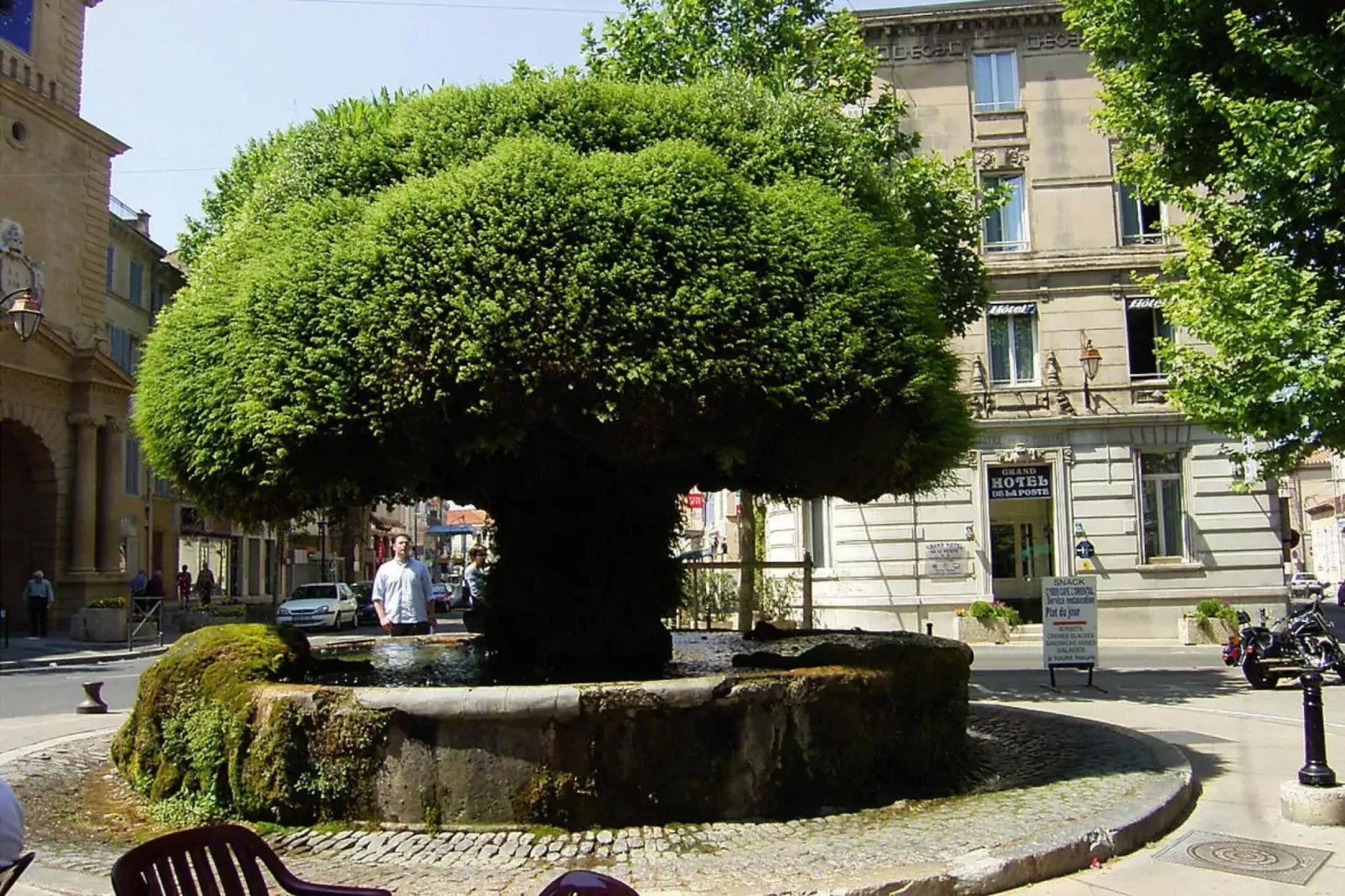 Ferienhaus in Salon-de-Provence-Tuinen zomer