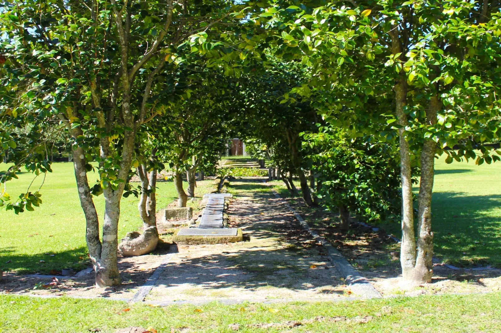 Casa da Adega-Gebieden zomer 1km
