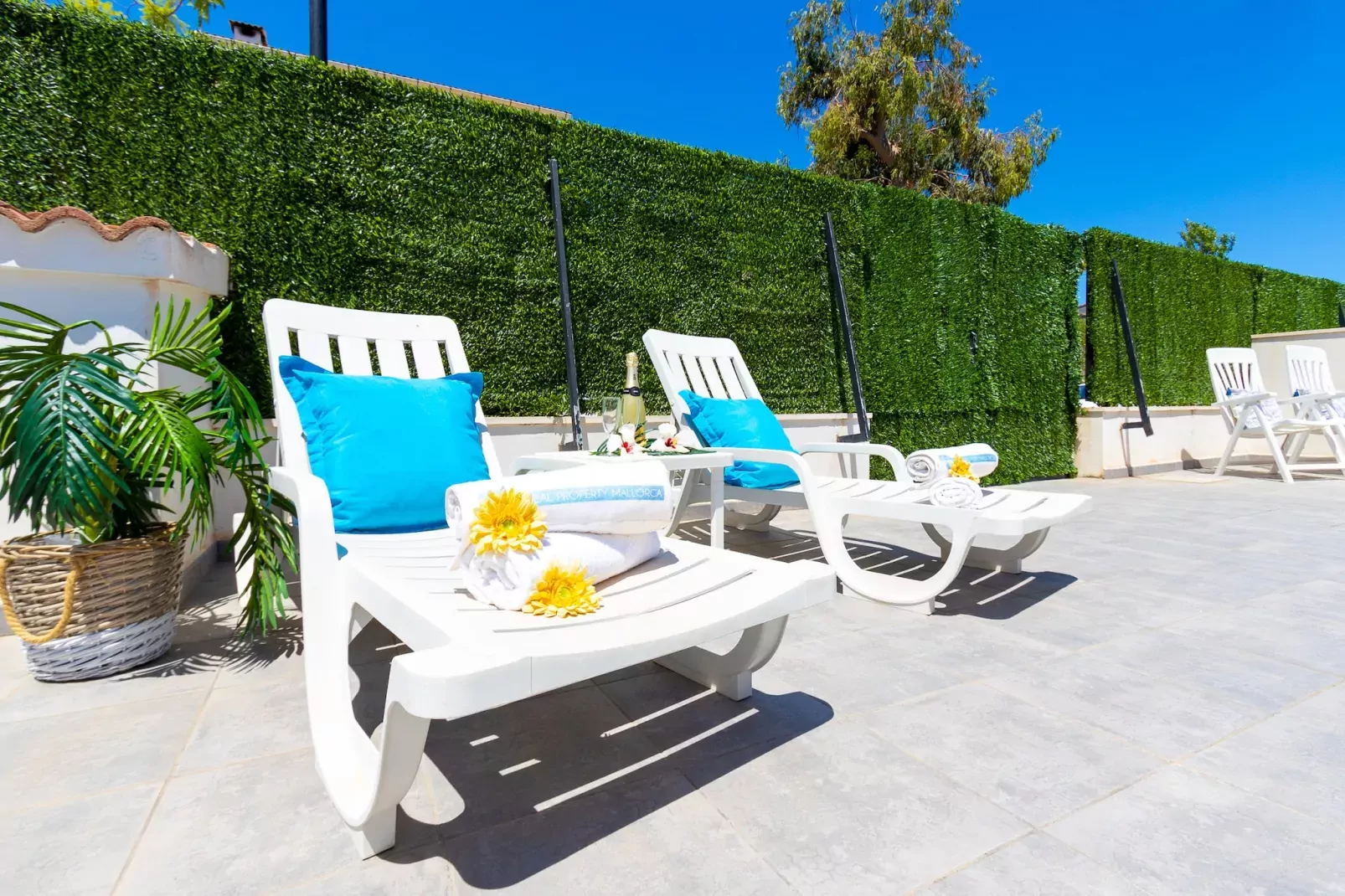 Villa Rosita 12A-Terras