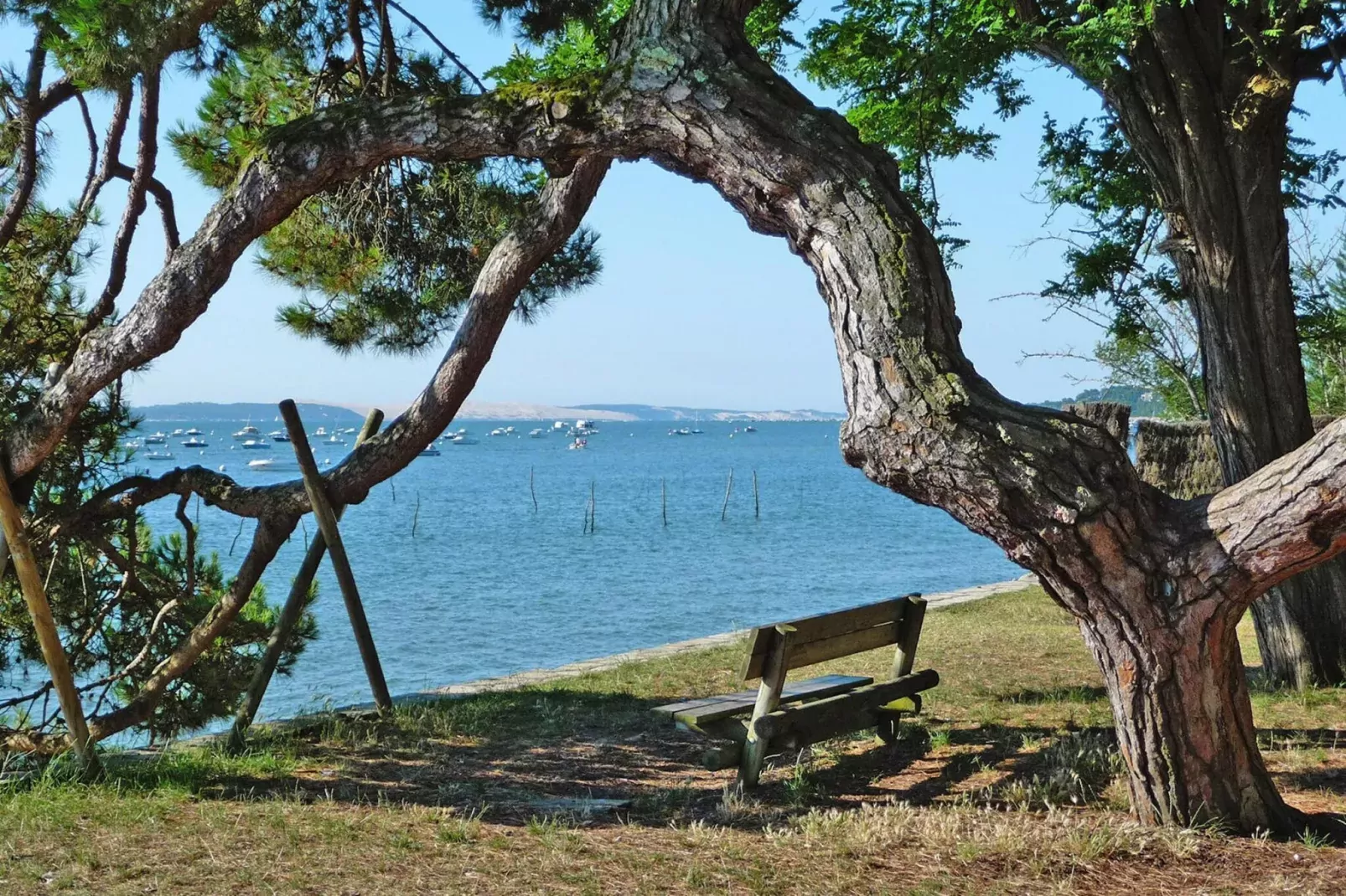 waterview