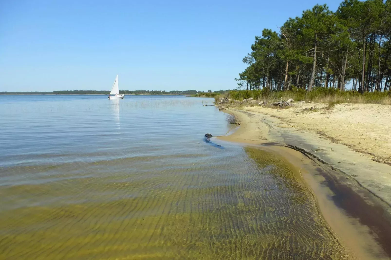 Holiday home Le Porge-Waterzicht