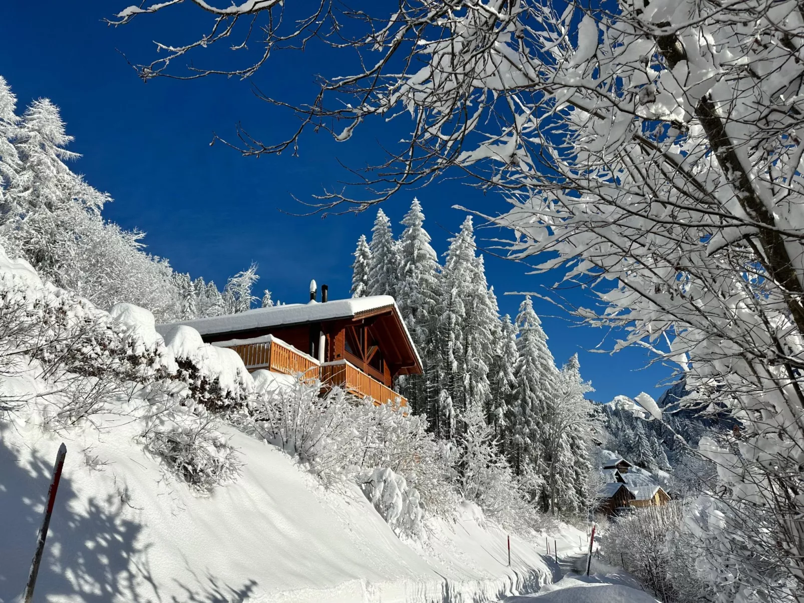 Chalet Les Pars - 10253544