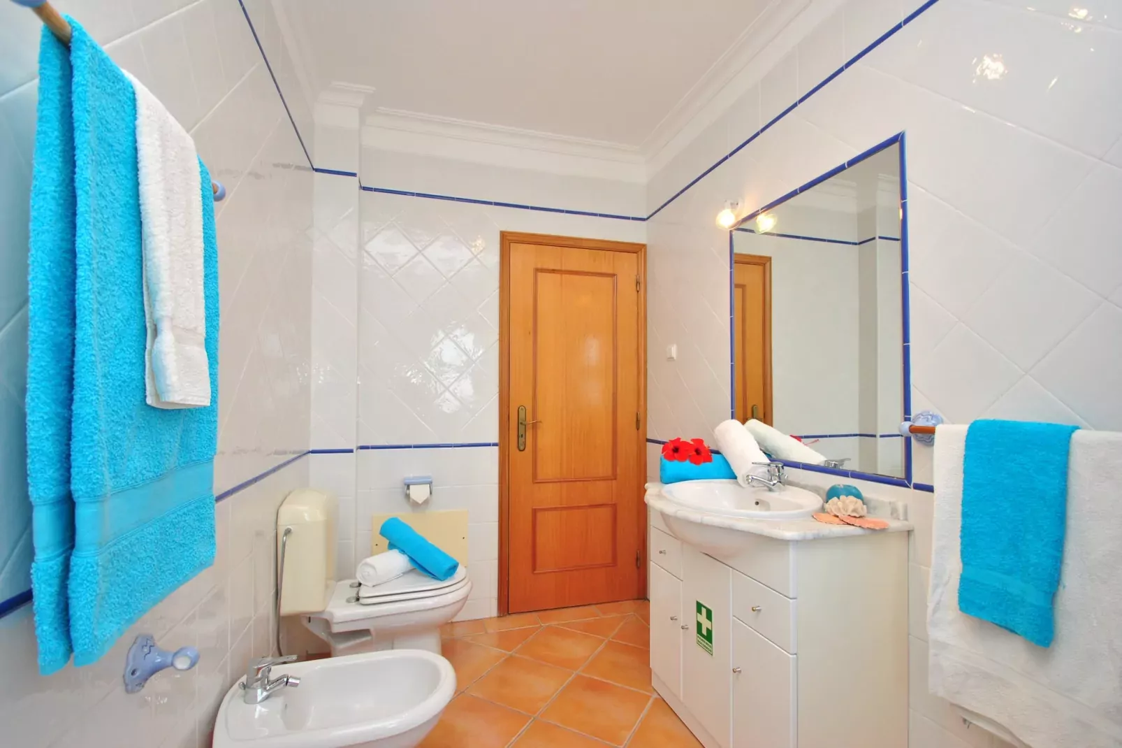 Apartment Jamaica-Badkamer