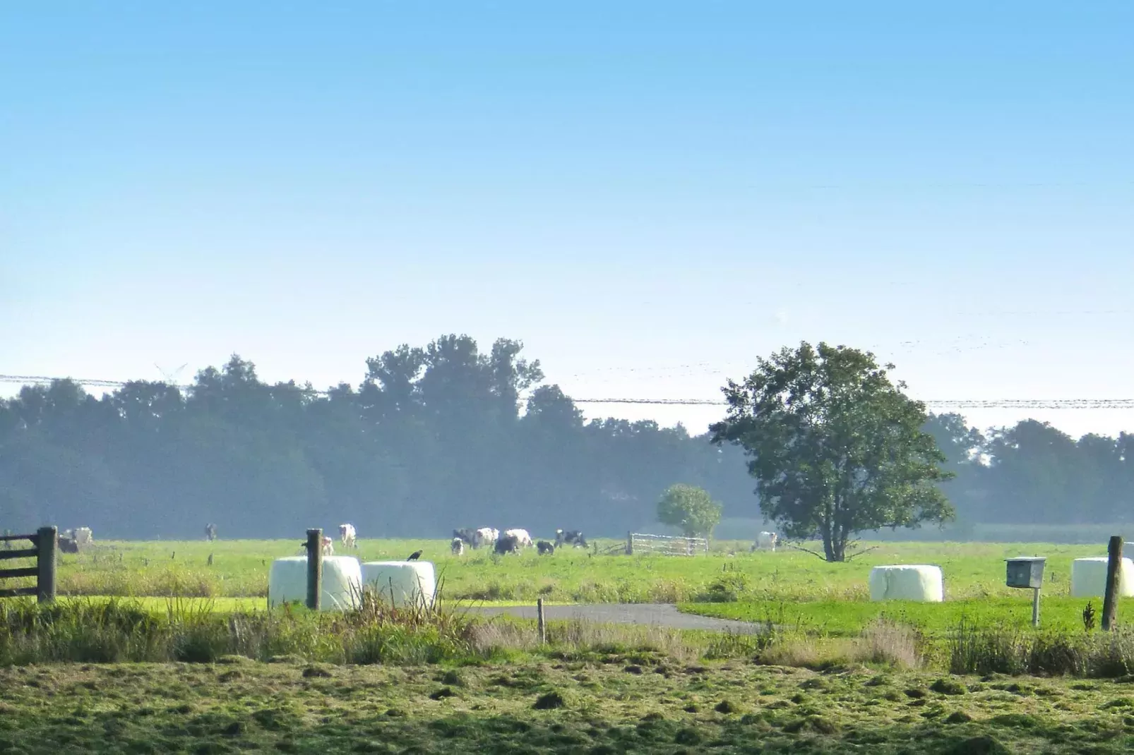 Ferienwohnung Dangast-Gebieden zomer 1km